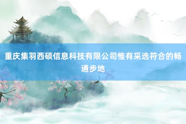 重庆集羽西硕信息科技有限公司惟有采选符合的畅通步地