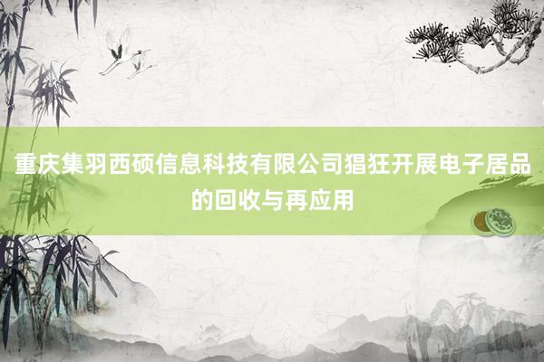 重庆集羽西硕信息科技有限公司猖狂开展电子居品的回收与再应用
